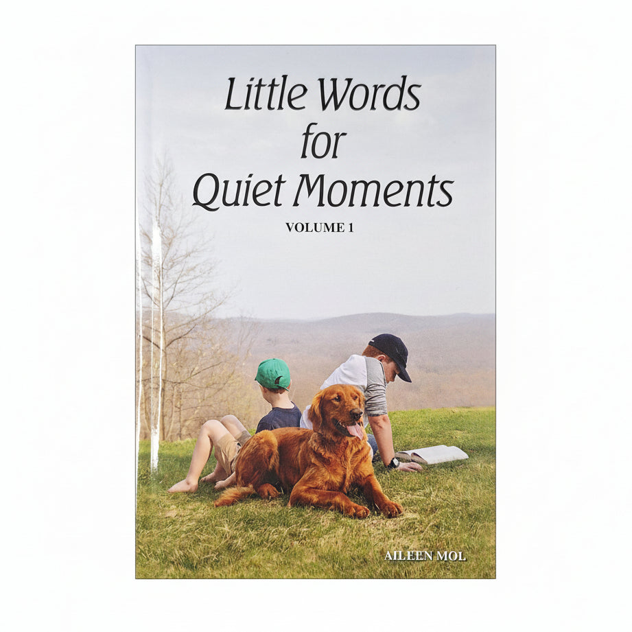 Little Words for Quiet Moments: Volume 1 - Aileen Mol