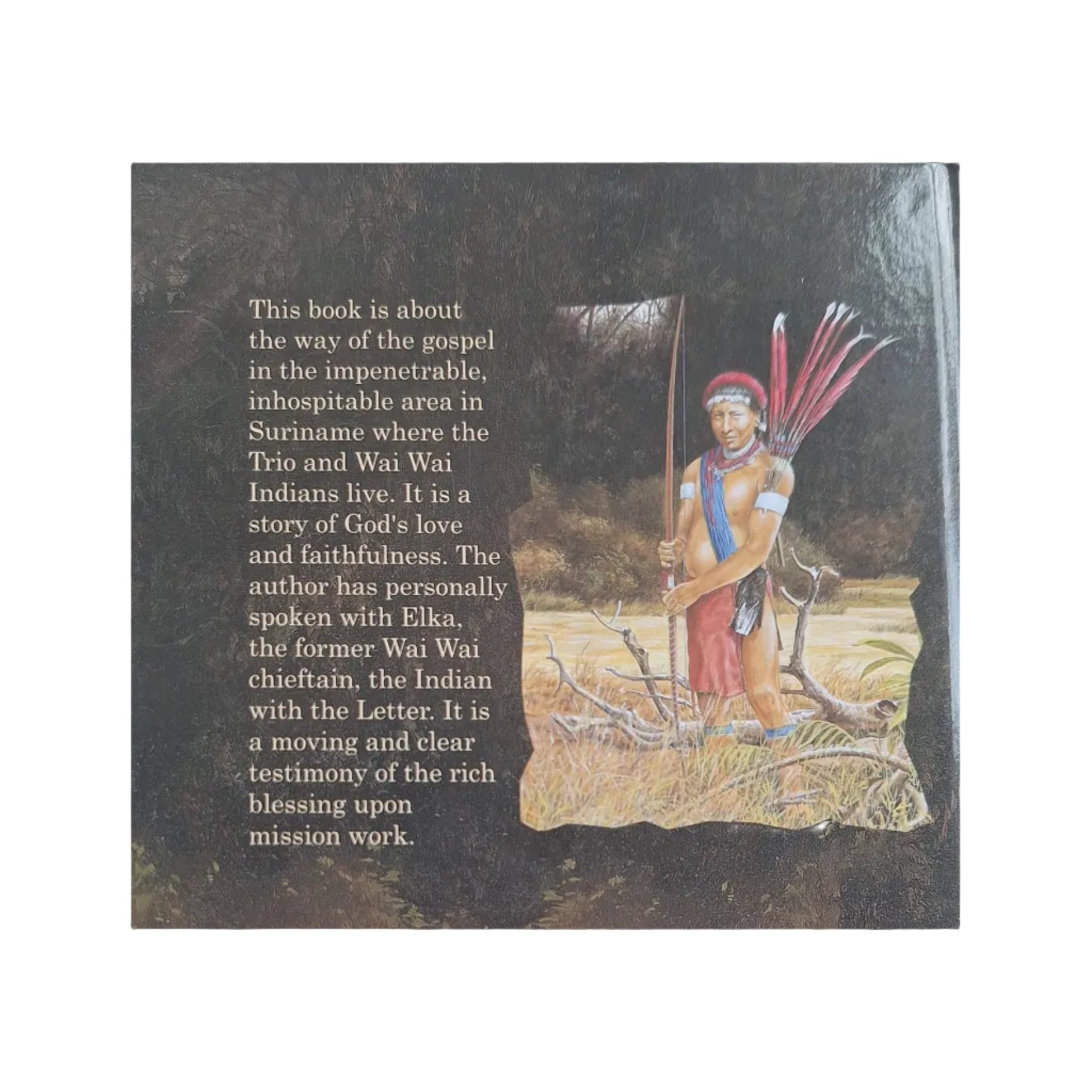 The Indian with the Letter - M.A. Mijnders-van Woerden