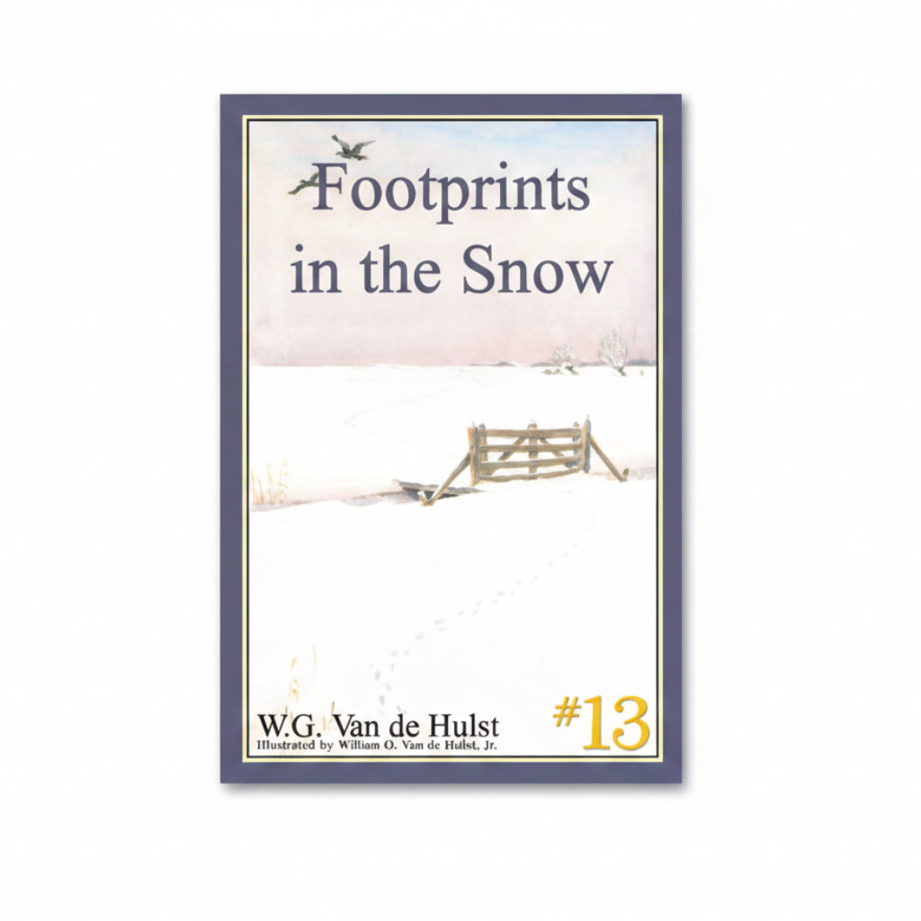 Footprints in the Snow - W.G. Vandehulst