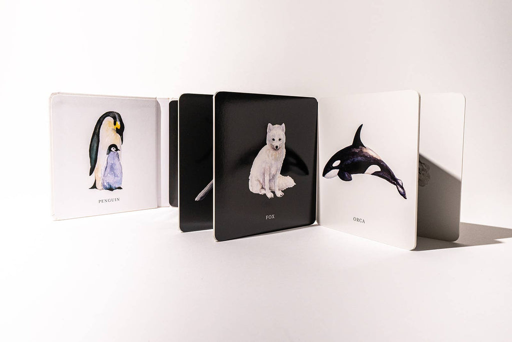 Black and White Contrast Board Book for Baby