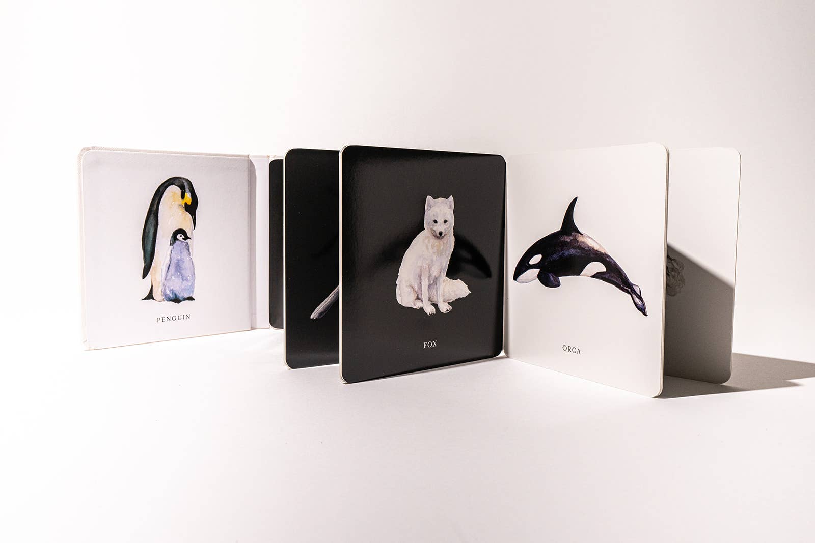 Black and White Contrast Board Book for Baby